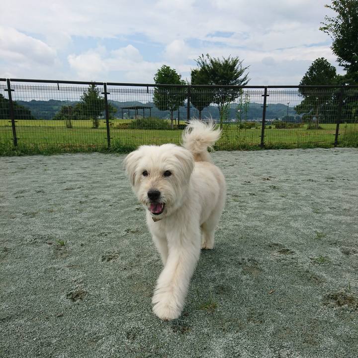 66eb86a7 e53d 4cbb bd0b b0eb501f8935 1566702717246