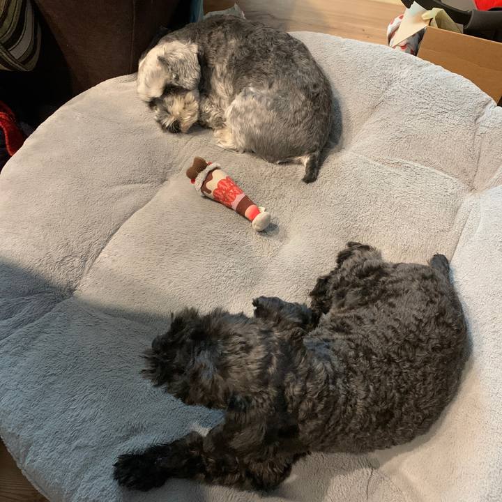 66eb8c50 336d 4e9f b8da 27546b97fdff 1684025048404