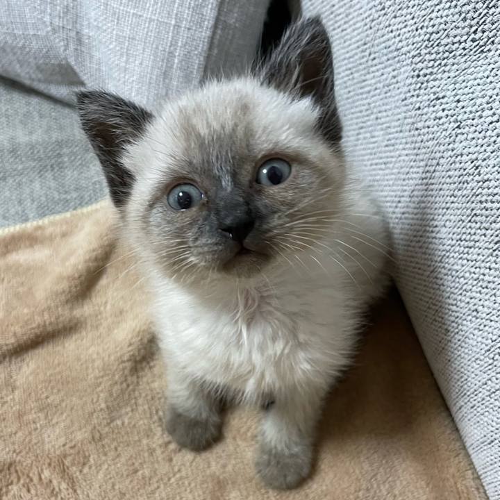 66ebd7af a756 4286 9abe 2e6501ff6da8 1685735906725