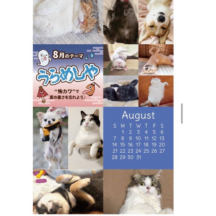 66ec062a ad07 4c19 97c5 7a55ff14f209 1641253323895