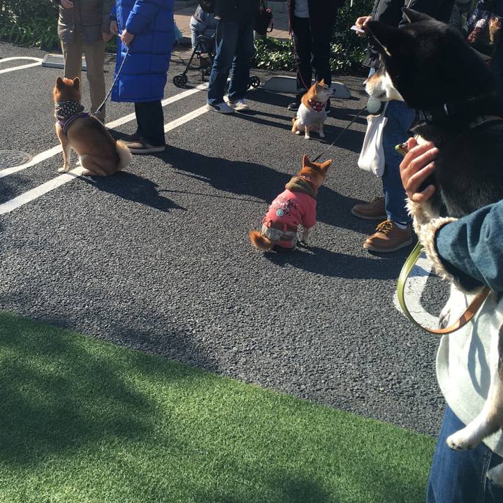 66ec5f75 4c8b 48f6 845a 9d50fbbf46fe 1575195840054