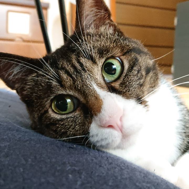 66ec617a 56dc 4170 94f5 25dff0faf7ee 1689378299251