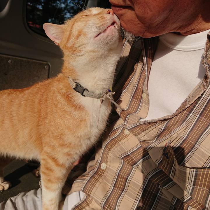 66eca3bc e513 4816 814c 65b8c82d4a01 1591132324058