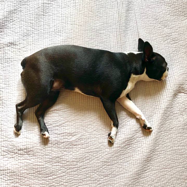 66ecb868 570c 435c 9543 7897ae3b8663 1537140231080