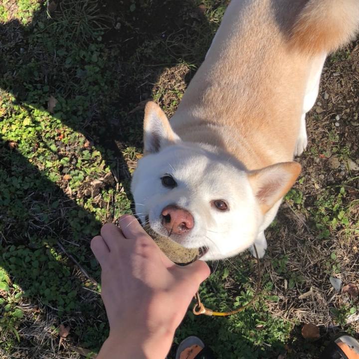 66ed1515 f125 408b 86ed 0109caa11e0e 1639223289771