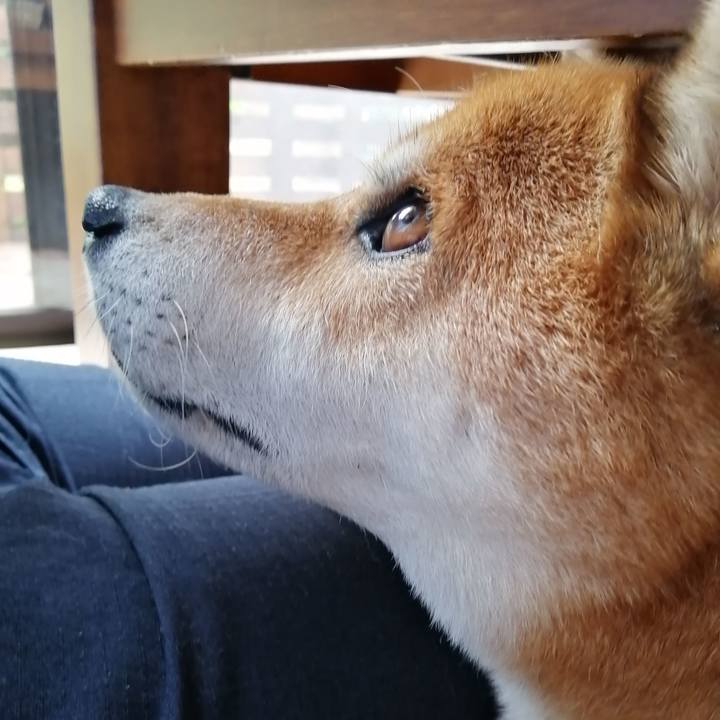 66ed27d9 2a98 4c5d a293 c5df7440dcf1 1634802087736