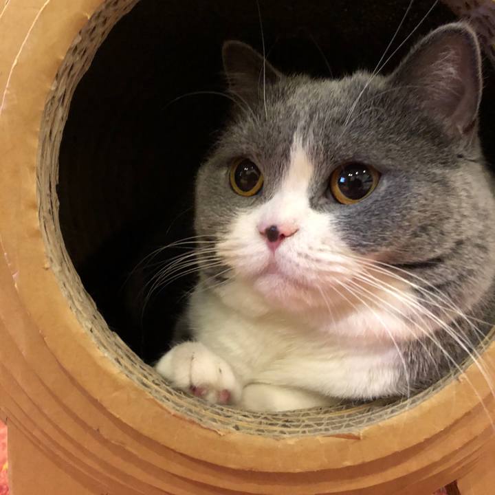 66ed2f21 a06e 4456 8596 df8188477bc7 1512545142983