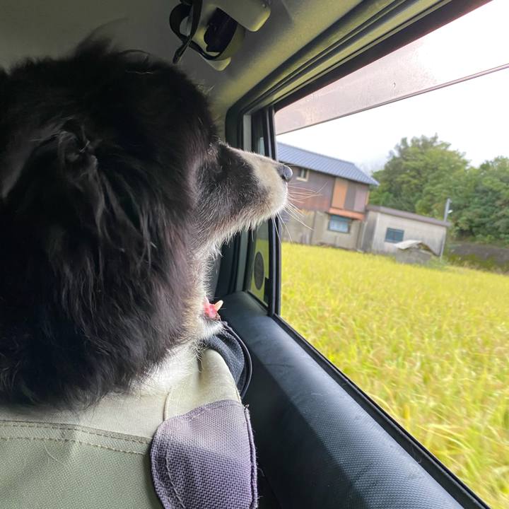 66ed6576 bf2d 48a1 82de 65aba7ed6d74 1664921145211