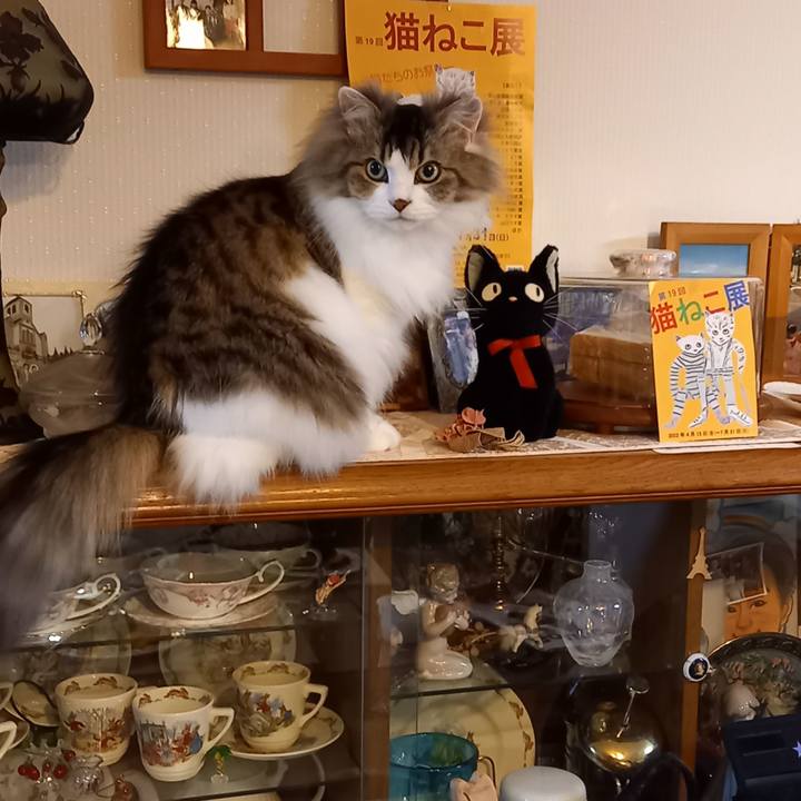 66ee33cd 23ff 4d17 822b ed03d99bcbf9 1649932666293