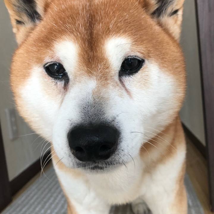 66ee358e eab8 4075 beb9 934fbab251cf 1554704253670