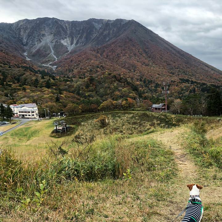 66ee53f4 8f0f 46f7 b53b 26f45081e647 1540978996576