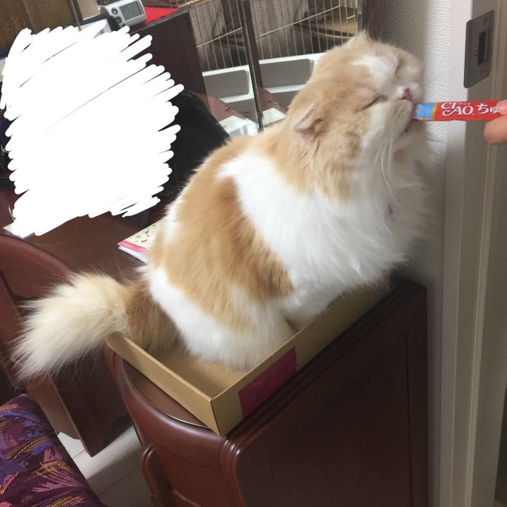 66ee729a 5fd5 4aa4 82ca 6ebf5557df8d 1590137762258