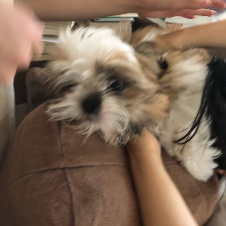 66ee7d0d 9cfa 4410 b104 76a1f9fc218f 1621698212588