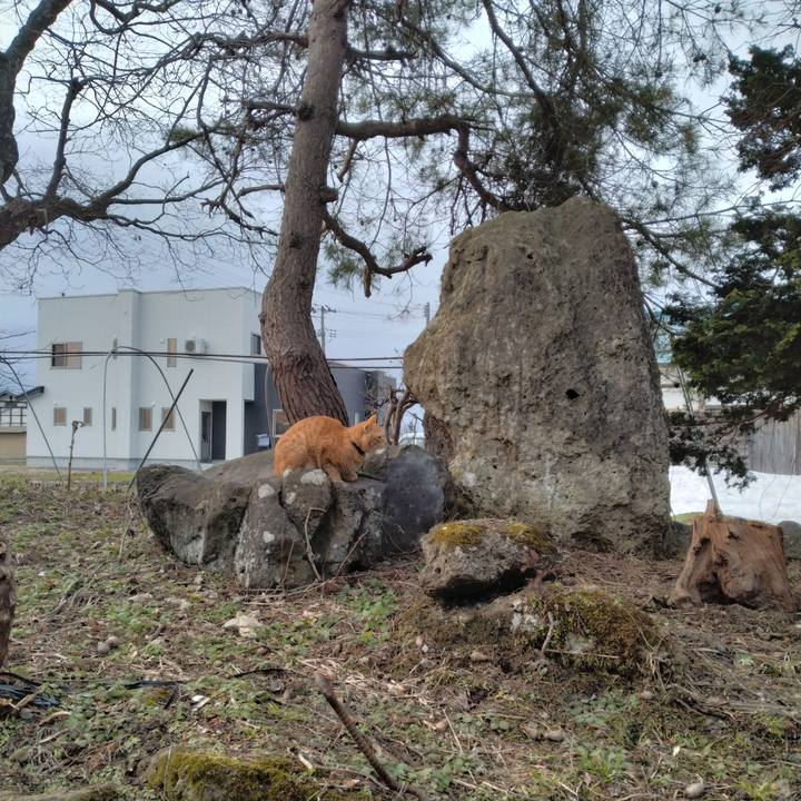 66eebc87 ba1e 400d 8586 6a43e8ba07a7 1679004304180