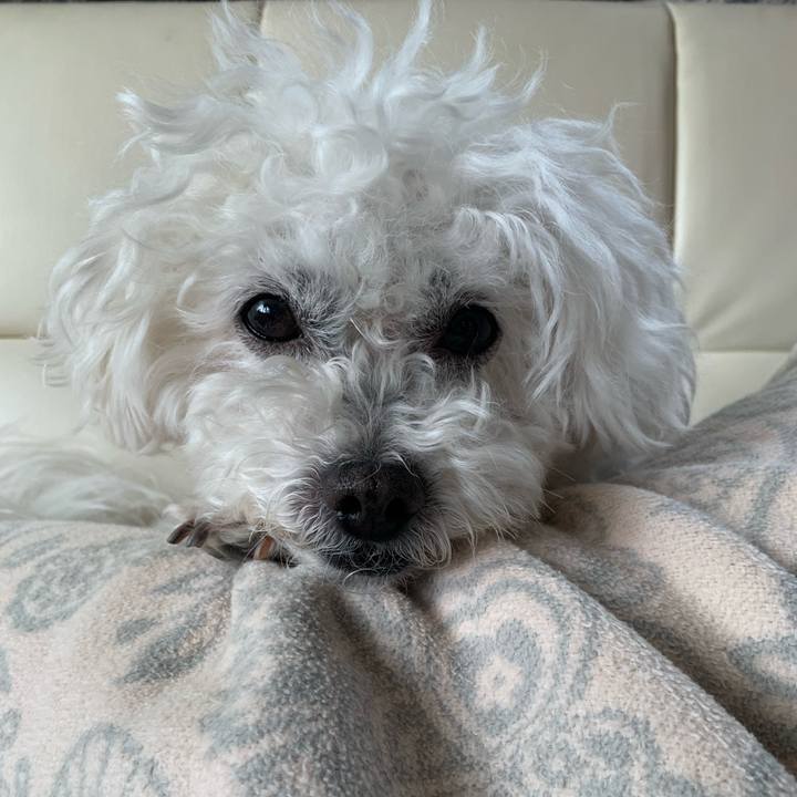 66eeccaf 6cf9 46ec 9e44 6177b674ebc9 1649650957274