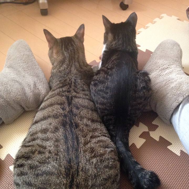 66eee210 a56e 4aa0 93c1 c5680a6e28b7 1511327233782