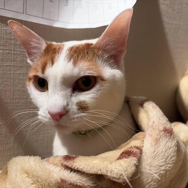 66ef13a0 57bf 4962 a20c e6aacb47a397 1769172749574