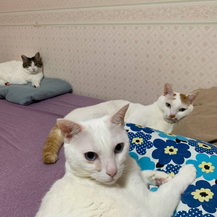 66ef1c86 3e2d 497f bbc0 39a70aa425db 1655154045957