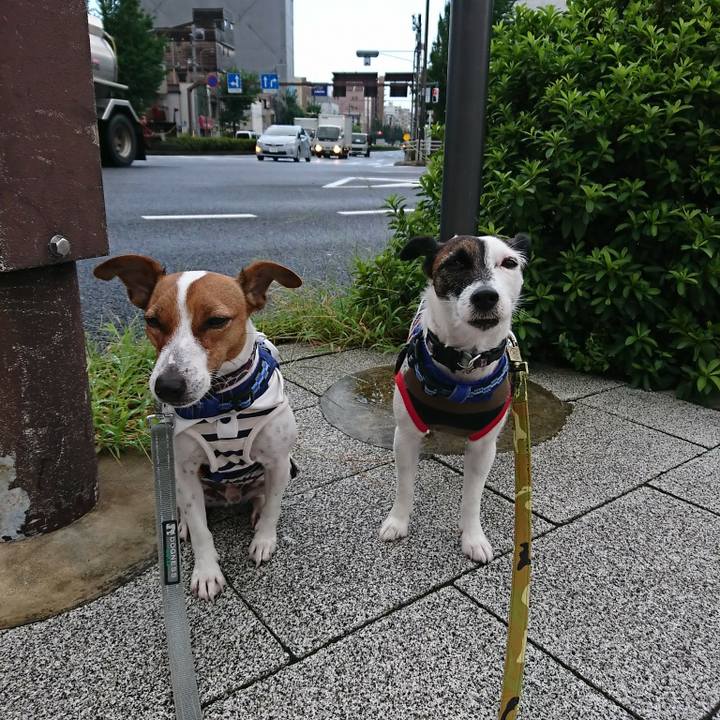 66ef3325 c7cb 46aa b43a 18aea82b5f55 1536098878794