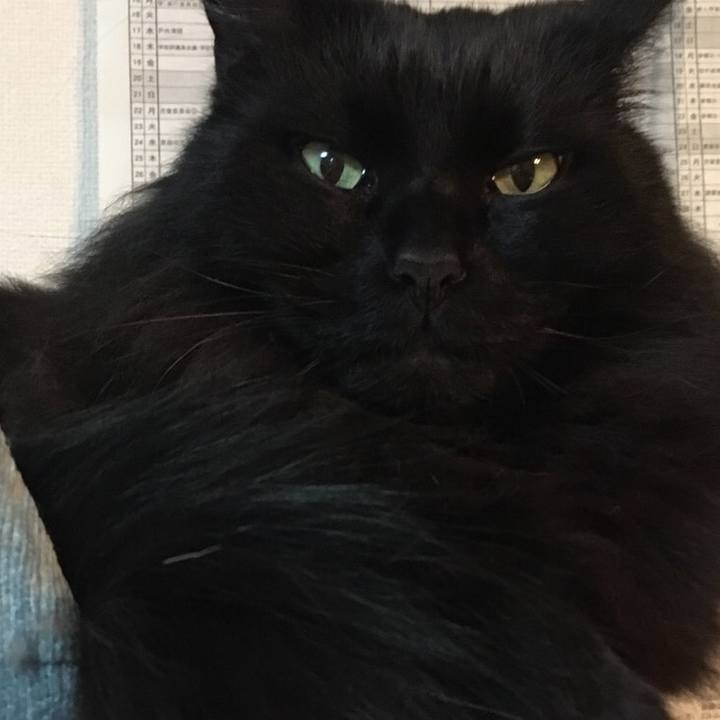 66ef9707 770b 4ce3 bf9e c4630b426154 1545479509167