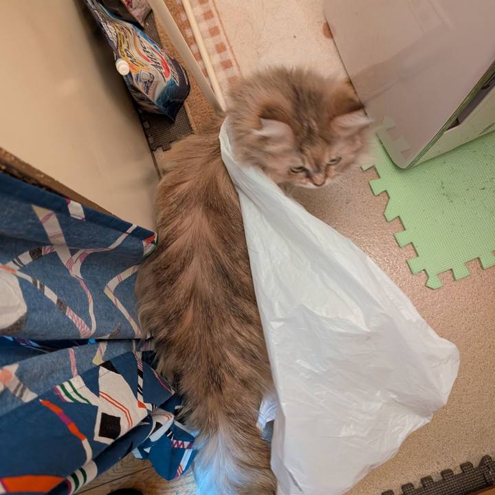 66efad4e adf2 4997 b32a d5827b5cc5cd 1741299015241