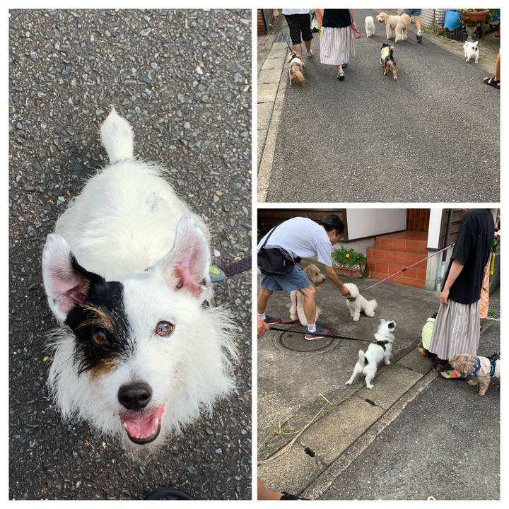 66efc7ca 139e 46db 9f73 e31fadbbd28a 1660603968387