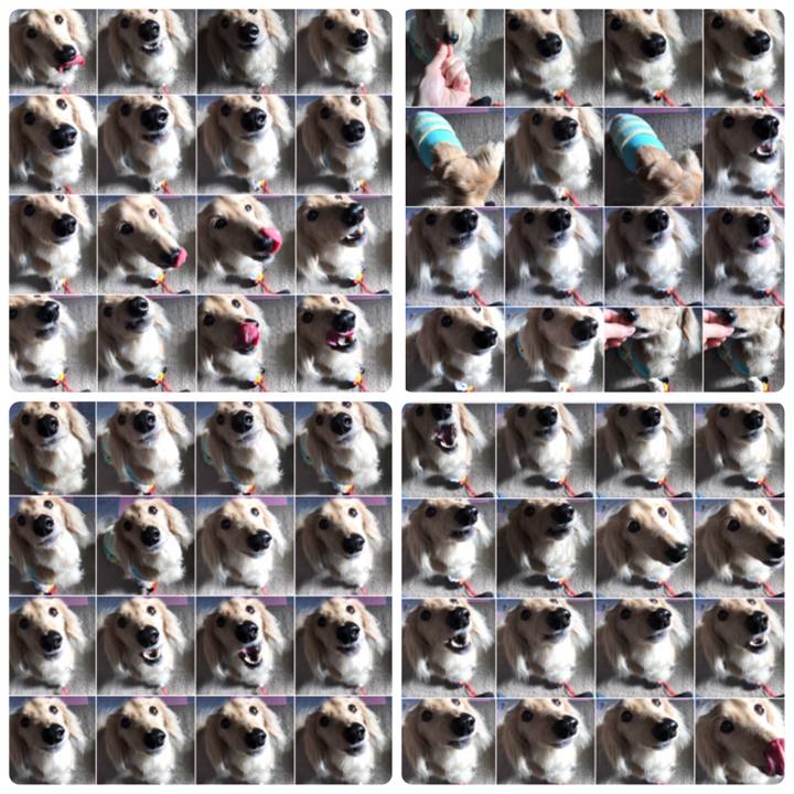66efdf9d 9ee1 4607 85d5 46350f1289f5 1509666586543