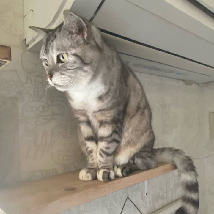 66eff6a5 d5da 46f7 8718 78ee326b391a 1717808725700