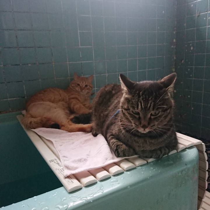 66f00f97 77b0 4692 99c8 7a1c9bf4ca54 1656927244522