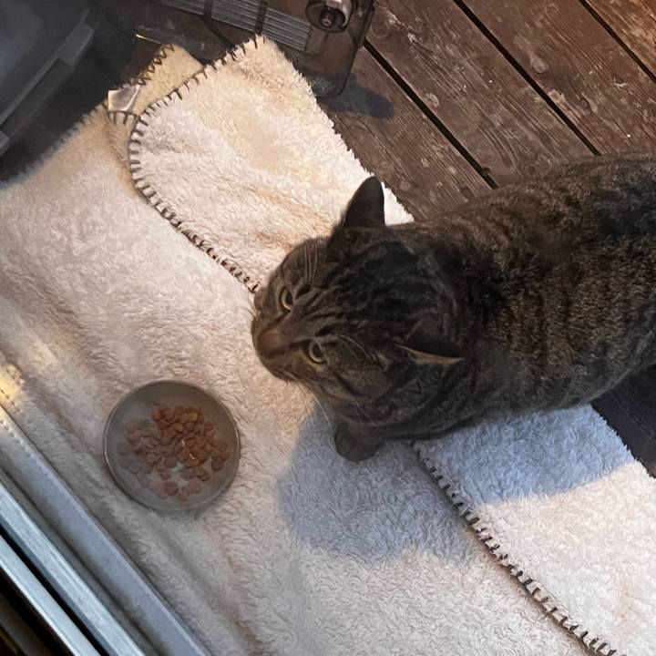 66f0189c cfef 41f0 8656 b43522582ca0 1733434957422