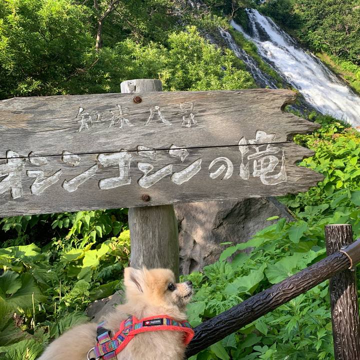 66f01cbe cea6 435b 95f0 5dee5cc9b50f 1661504711756