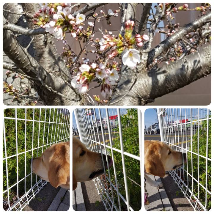 66f02c7b 9ed2 4023 90be a8fe0aa0dc5f 1521782494585