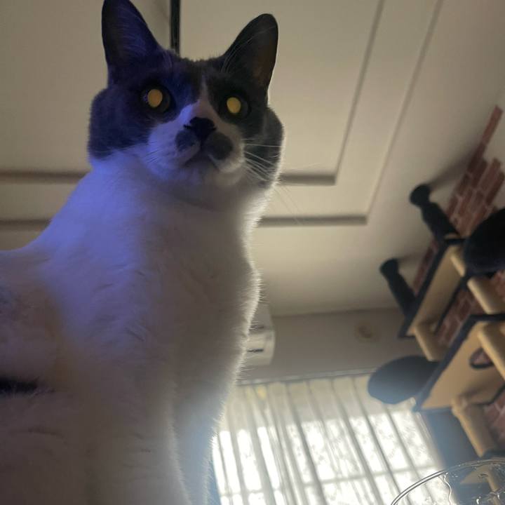 66f06b05 960f 4dc0 a3f0 702cef61743e 1667271449209