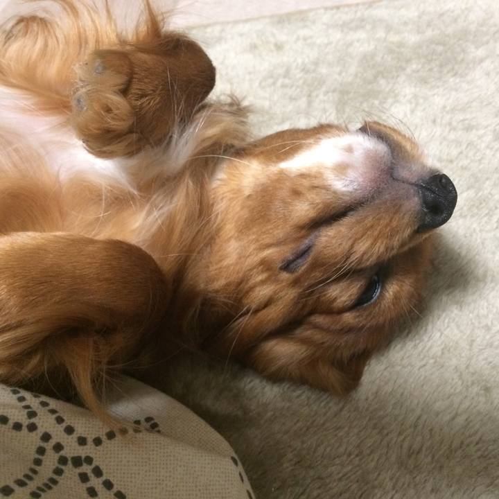 66f09214 5e7c 4aa4 9c09 b3e8bdd7fe7d 1515375374677