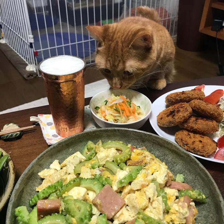 66f0a511 75c6 439f aa2f cbed3b08bd5b 1532089419244