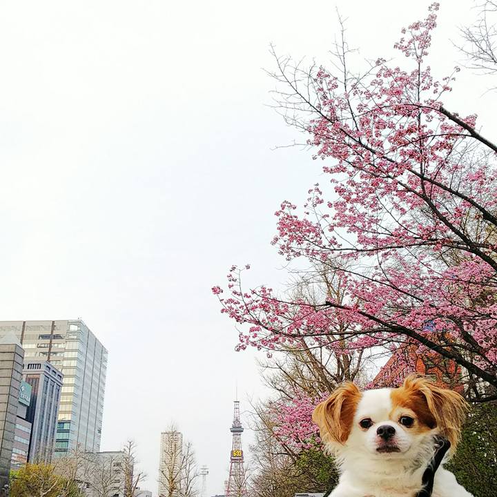 66f0b204 10e3 4257 9d6a dd617ed7f688 1525086810095