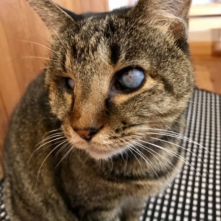 66f0c32f 23e4 451f 9a9b a043faa80d20 1571534496208