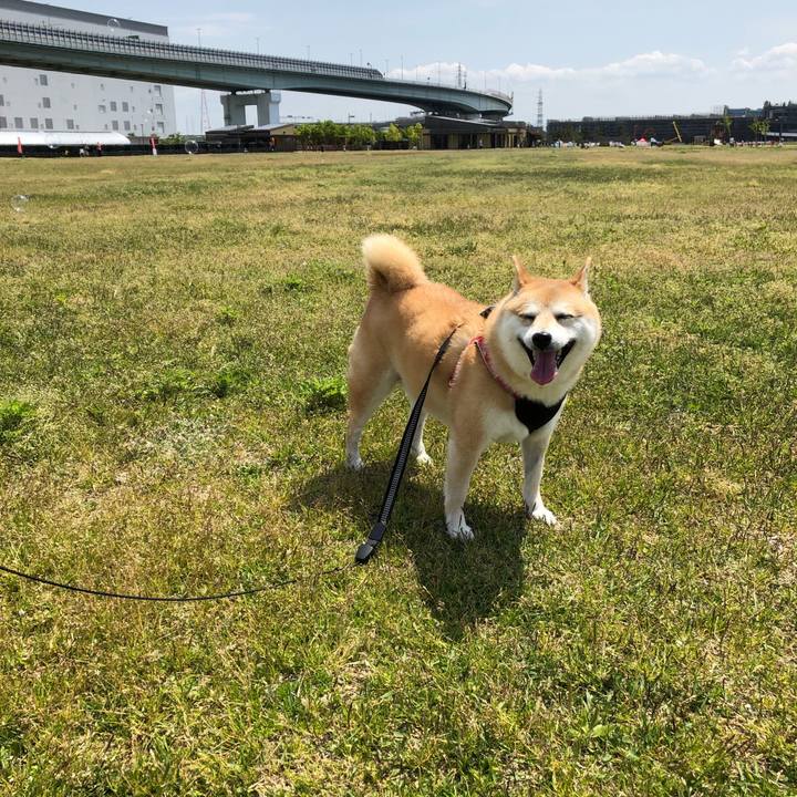 66f0f0ad 1154 4c62 af10 13df88fd3d50 1557292242553