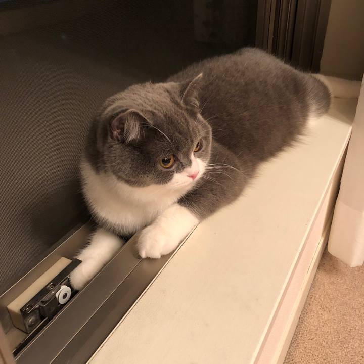 66f12319 b445 467d bbaa efe30fa9aeb9 1522328361059