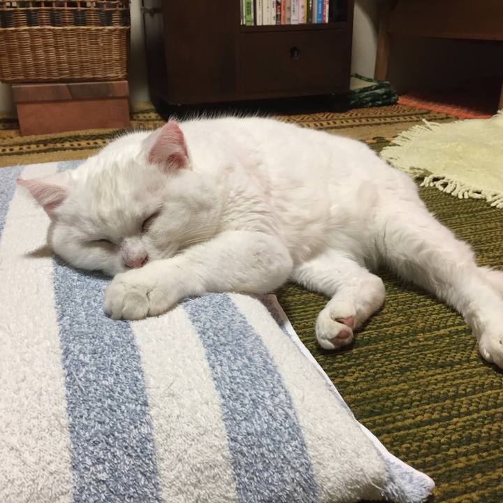 66f1560c b223 4955 af53 64559e5a88b3 1509625360663