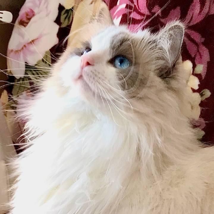 66f15b5d d1bd 42b2 b4bb 7a24b6eee7be 1674901139289