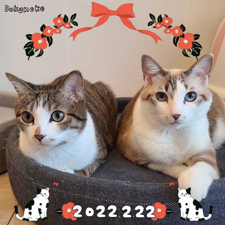 66f160d8 dc61 4808 8e0b f13cd8e20212 1645506853595