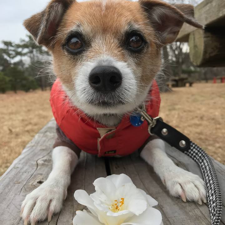 66f21b4b d920 4d16 8175 3243de3cb175 1577343612274