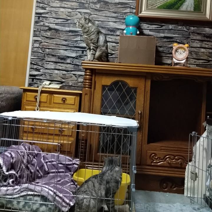 66f22232 995a 4540 b976 65a6c3ba7315 1596893635285