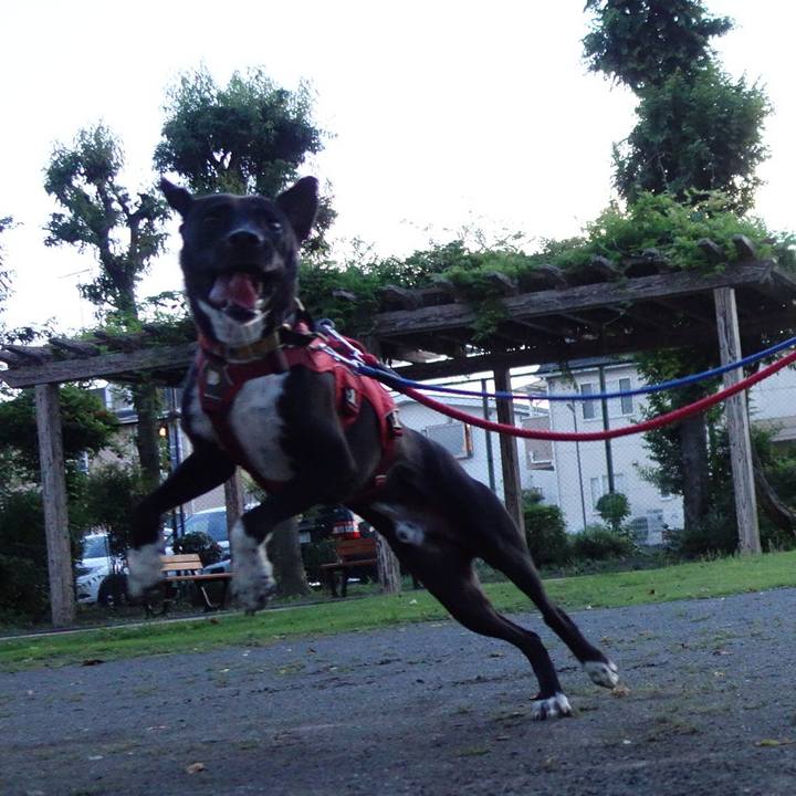 66f24b3c 27e0 4de3 ad73 4efd1d4f485b 1592218894134