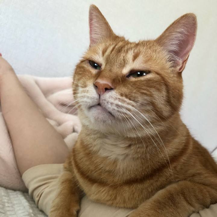 66f29d4c bdb4 4145 be89 334ae27a3075 1653199683349