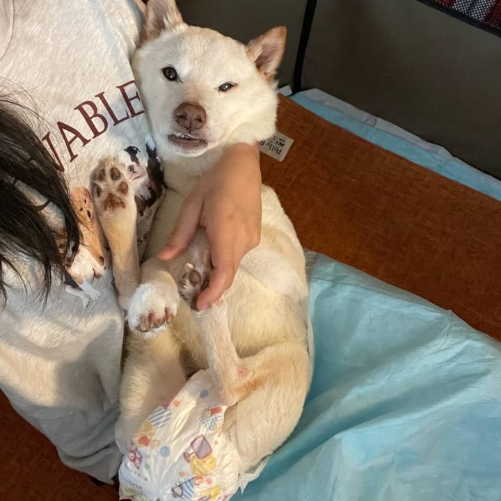 66f2c5fc 6e49 439b a5a4 583fa11f9d25 1664250066062