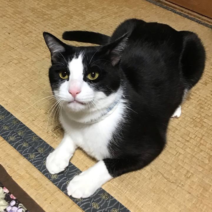 66f2fb60 50b3 4559 ad88 54c8ff197c34 1683377207154