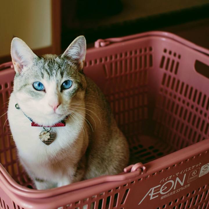 66f2fe2d 53d5 4ea9 b5d9 6eff3f3236c3 1525234657815