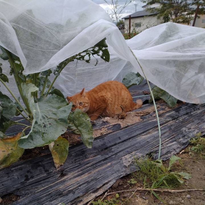 66f31e37 4ec0 4c95 aa78 5ca266af05e1 1696030409390